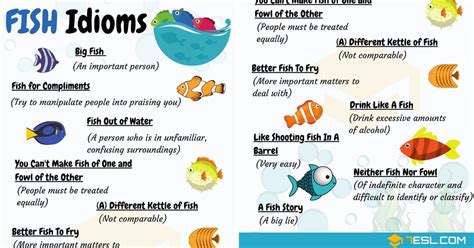 27 Fish Idioms And Phrases To Use In Everyday English.